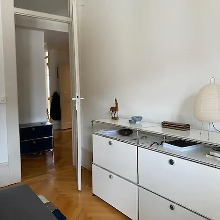 Lovely Large Flat With Balcony Genève